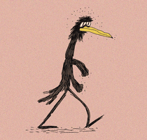 bird birdman GIF by Steven Kraan