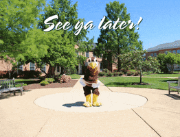 Hawk Csmhawks GIF by College of Southern Maryland