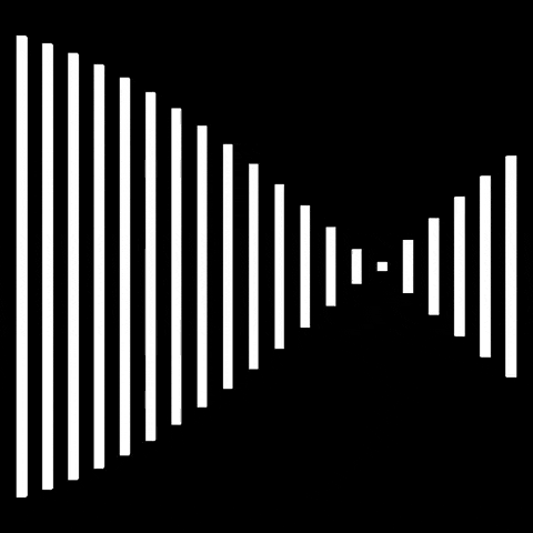 Black And White Lines GIF by partyonmarz