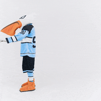 Lahti-pelicans GIFs - Get the best GIF on GIPHY