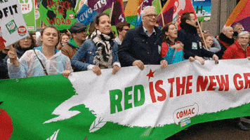 Redisthenewgreen Linedewitte GIF by PVDA