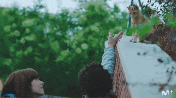 give me five love GIF by Movistar+
