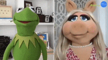 The Muppets Kermit GIF by BuzzFeed
