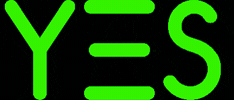 YesBootcamp GIF