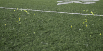 Steelers GIF
