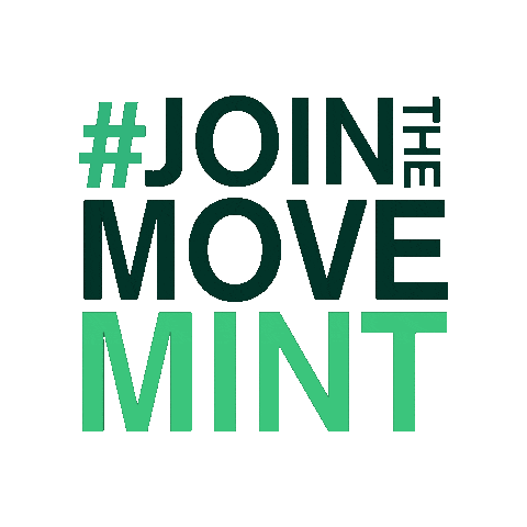 Mint Eco Car Wash Sticker