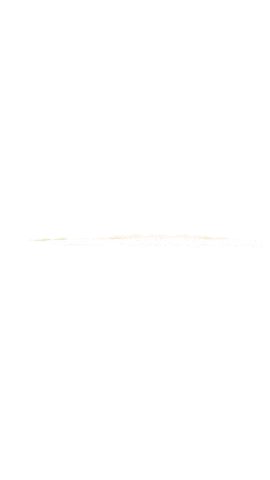 EDS IMPORT Sticker