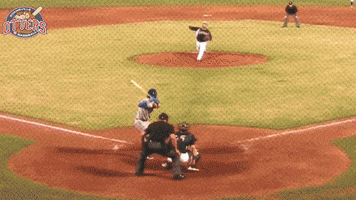 EvansvilleOtters baseball swag save catch GIF