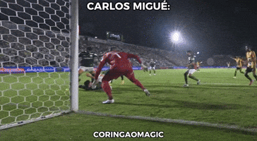 Sep Zoando O Palmeiras GIF
