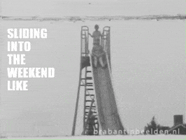 Sliding Into The Weekend GIF by BrabantinBeelden