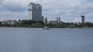 Asiaone GIF