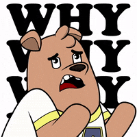 What Is This Reaction GIF by Meme World of Max Bear