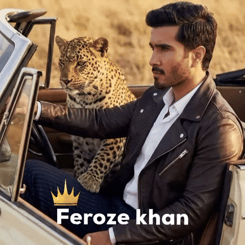 Pakistan Cricket GIF