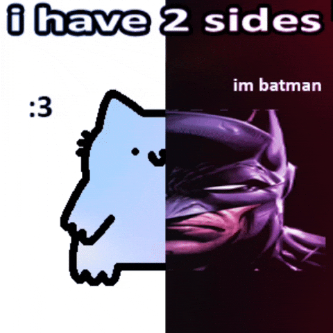 Cat Batman GIF by sillynub