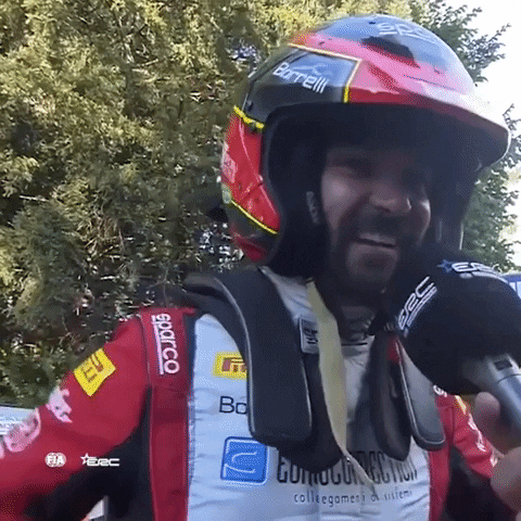 Celebration Thumbs Up GIF by FIA European Rally Championship