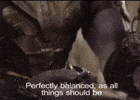 100.gif?cid=20e14a2aw5egrn4r8m0kdz4eckc3djso93132pg9h01ngp12&rid=100.gif&ct=g