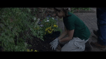 Garden Working GIF by VVS FILMS
