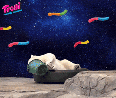 polar bear space GIF by Trolli