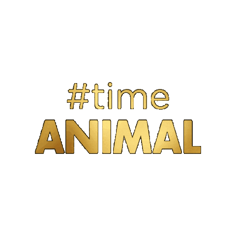 Fa Sticker by fórmula Animal