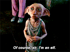 dobby