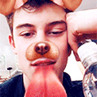 shawn mendes search GIF