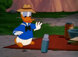 Donald Duck Cartoon GIF