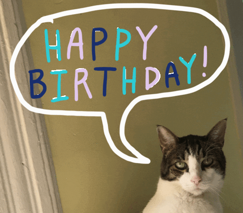 Happy Birthday Cat GIF by Julie Smith Schneider