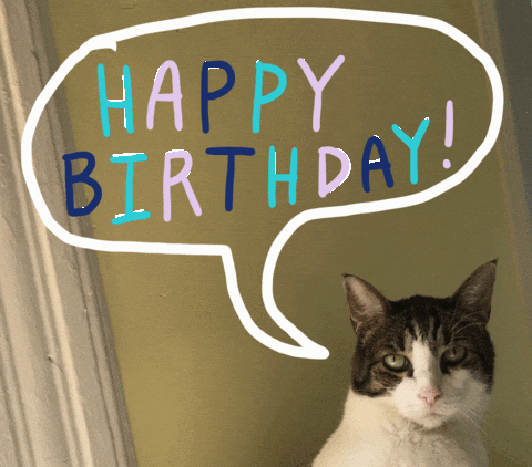 Happy Birthday Cat GIF by Julie Smith Schneider - Find & Share on GIPHY