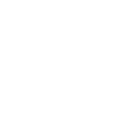 Vida Cámara Sticker