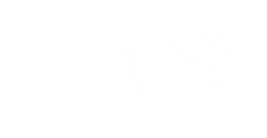 Padocaffe Sticker