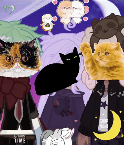 Cat GIF