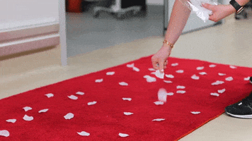 Valentines Day Congratulations GIF by Storyful