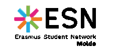ESN Norway Sticker