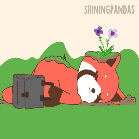 I Dont Want To Go Red Panda GIF