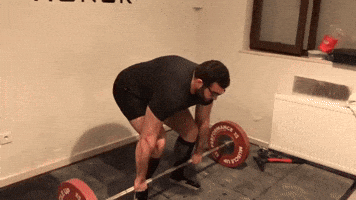 Powerlifting Tuna GIF