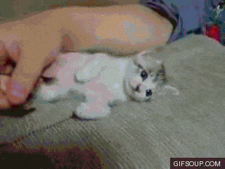 alarm