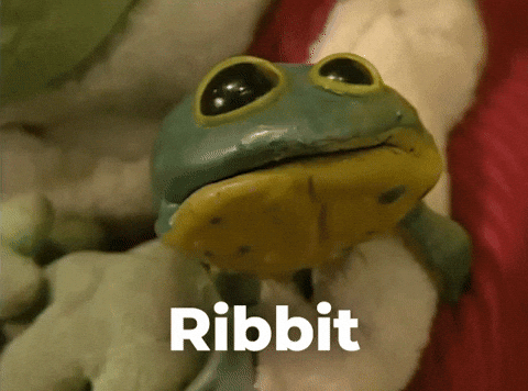 treefrog meme gif