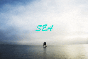 200.gif?cid=fc005b08a4ae5d5ca45a8734f0f5e2f81569221fd1b14c2e&rid=200.gif&ct=g