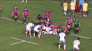 Teammhr Passe GIF by Montpellier Hérault Rugby