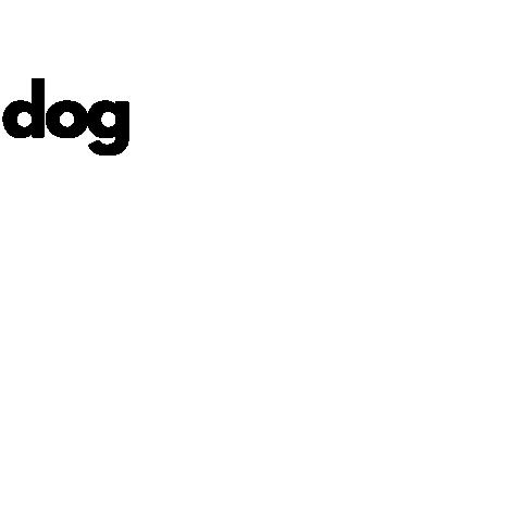 Orlando Fl Sticker by BeyondTheLeash