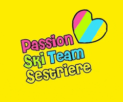 Passion Ski School GIF