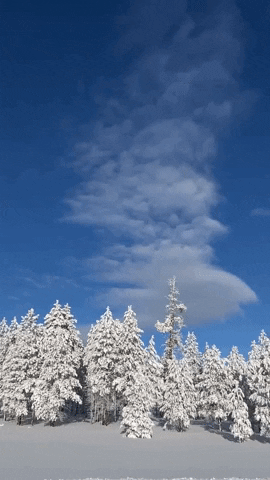 First Snow GIF by Storyful