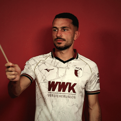 Bundesliga Ibrahimovic GIF by FC Augsburg 1907