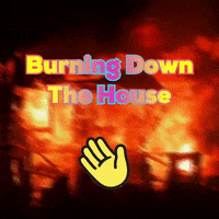 Burning Down The House Creator GIF by The3Flamingos