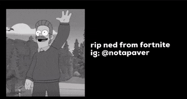 Rip Ned GIF