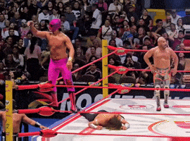 Lucha Libre Wrestling GIF