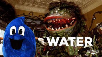 Little Shop Of Horrors Flower GIF by Fort Worth Water