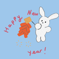 Mandarin 2023 New Year - GIPHY Clips
