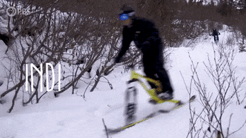Ski Jump Snow GIF by PBS Digital Studios