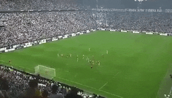 juventus lichtsetiener GIF by nss sports